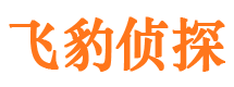 桑植寻人公司